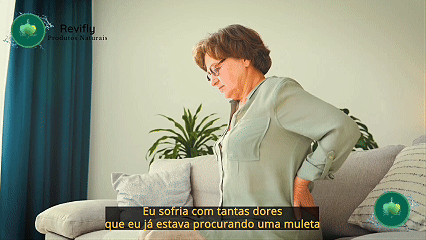 Prévia em GIF da apresentação